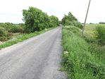 Road_IMG_0493.JPG